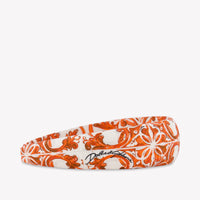 Dolce & Gabbana Baby Meisjes Accessoire In Oranje