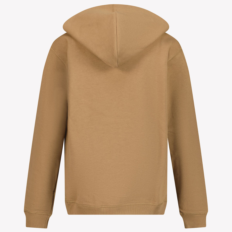 Dolce & Gabbana Kids Boys Sweater  Light Brown