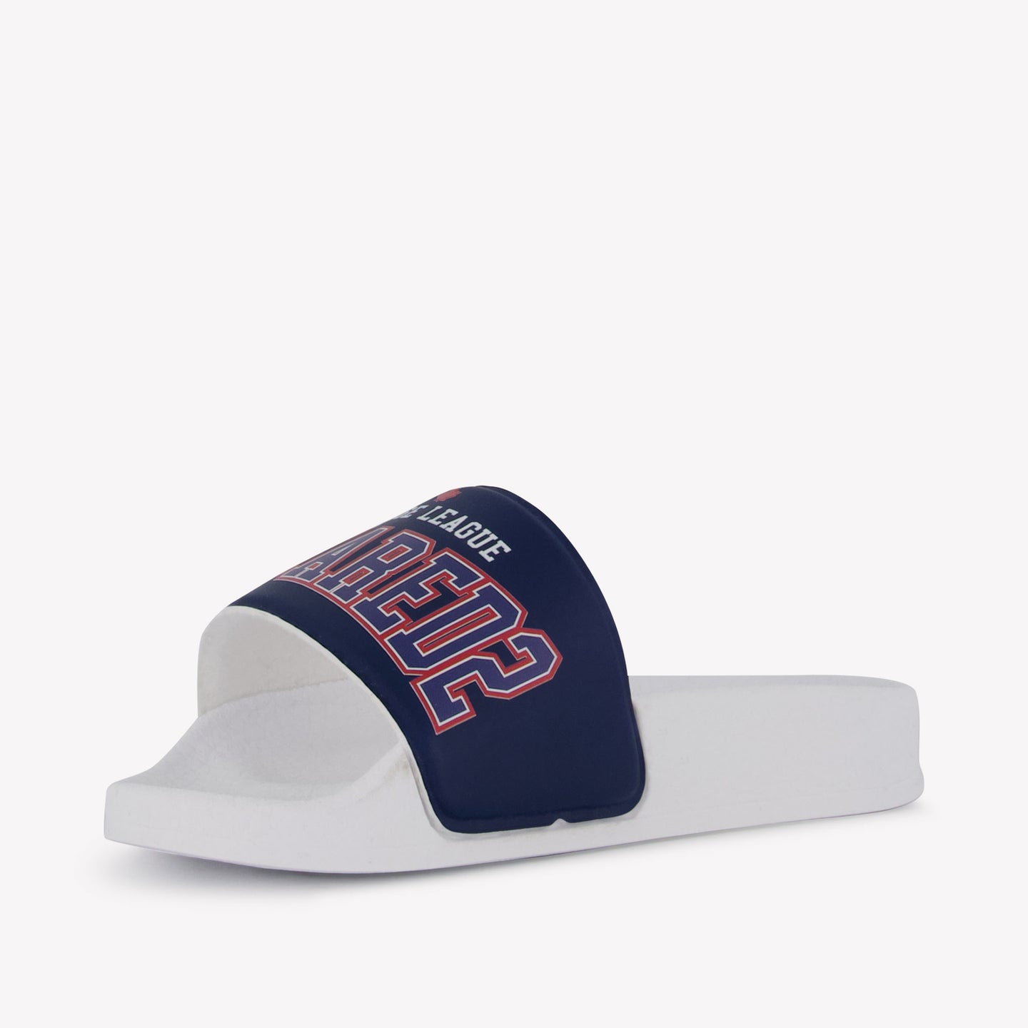 Dsquared2 Unisex Flipflops In Navy