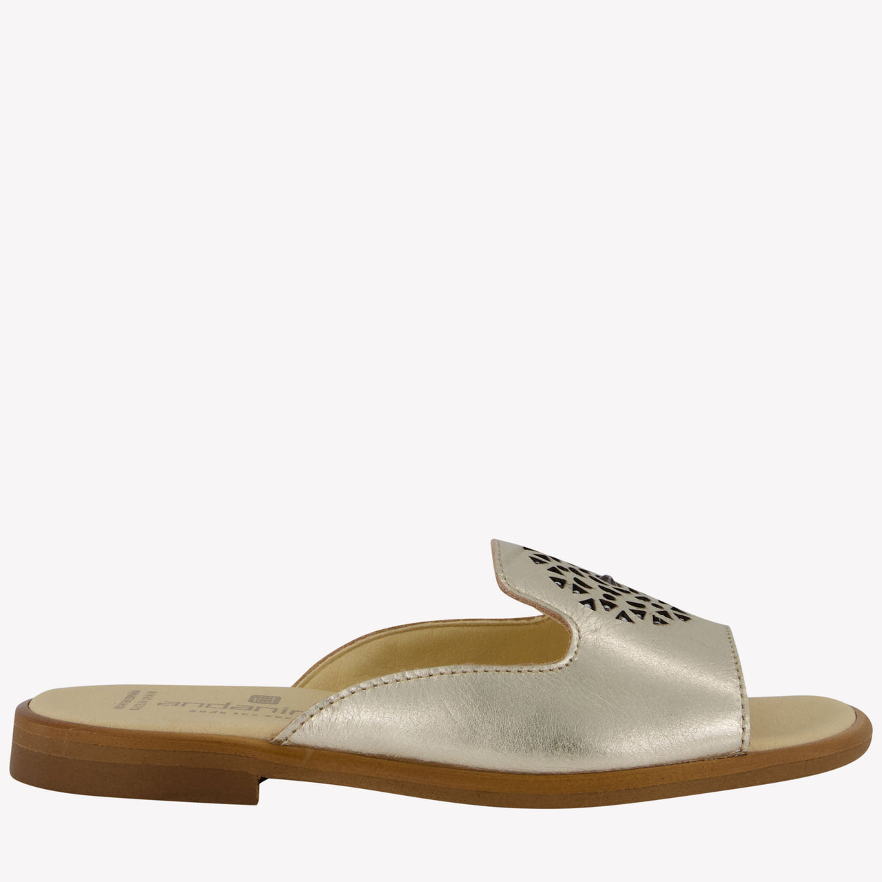 Andanes Girls Flipflops  Gold