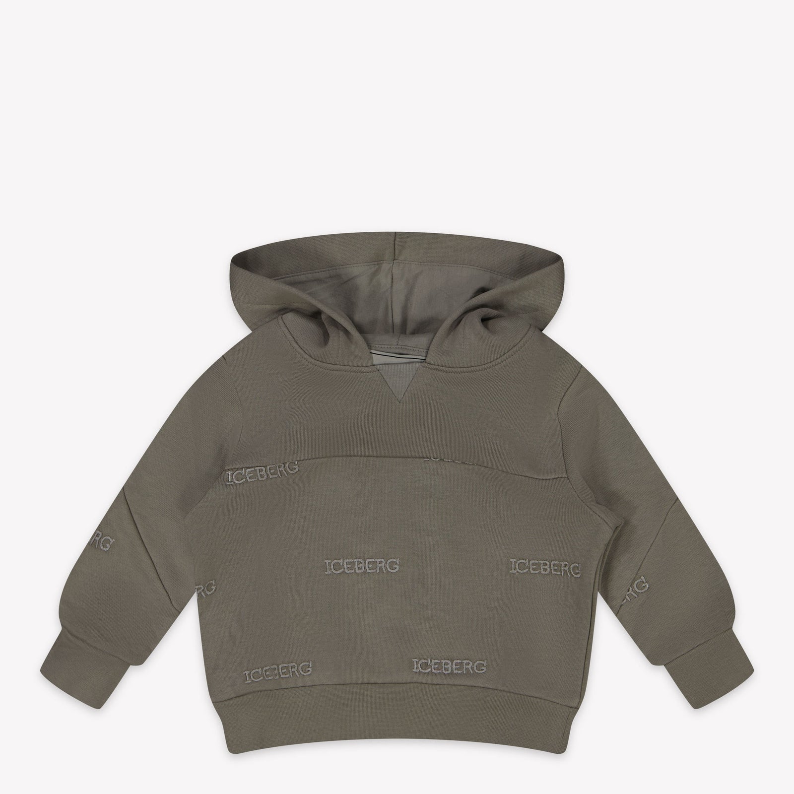 Iceberg Baby boys sweater in Gray