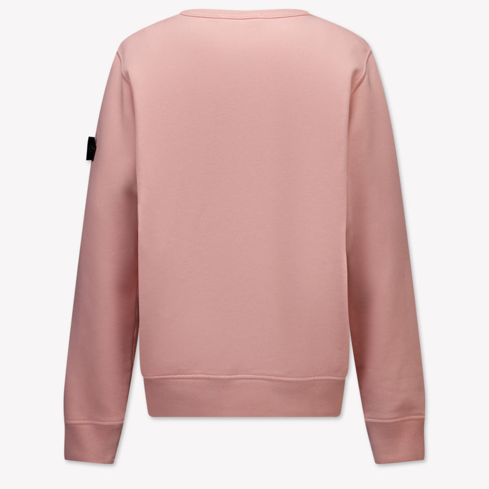 Stone Island Kids Boys Sweater  Pink