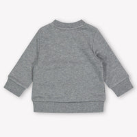 Boss Baby Boys Sweater  Gray