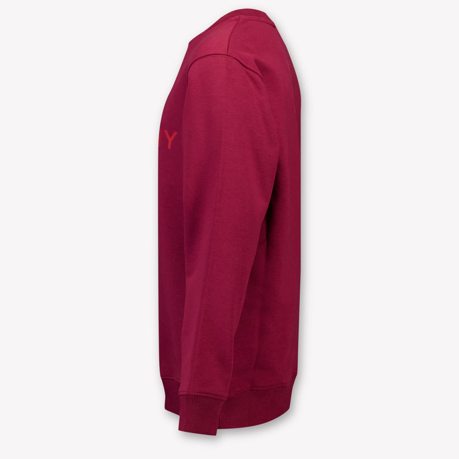 Givenchy Kinder Jongens Trui In Bordeaux