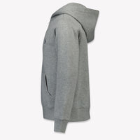Ralph Lauren Kinder Jongens Vest In Licht Grijs