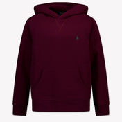 Ralph Lauren Kids Boys Sweater  Bordeaux