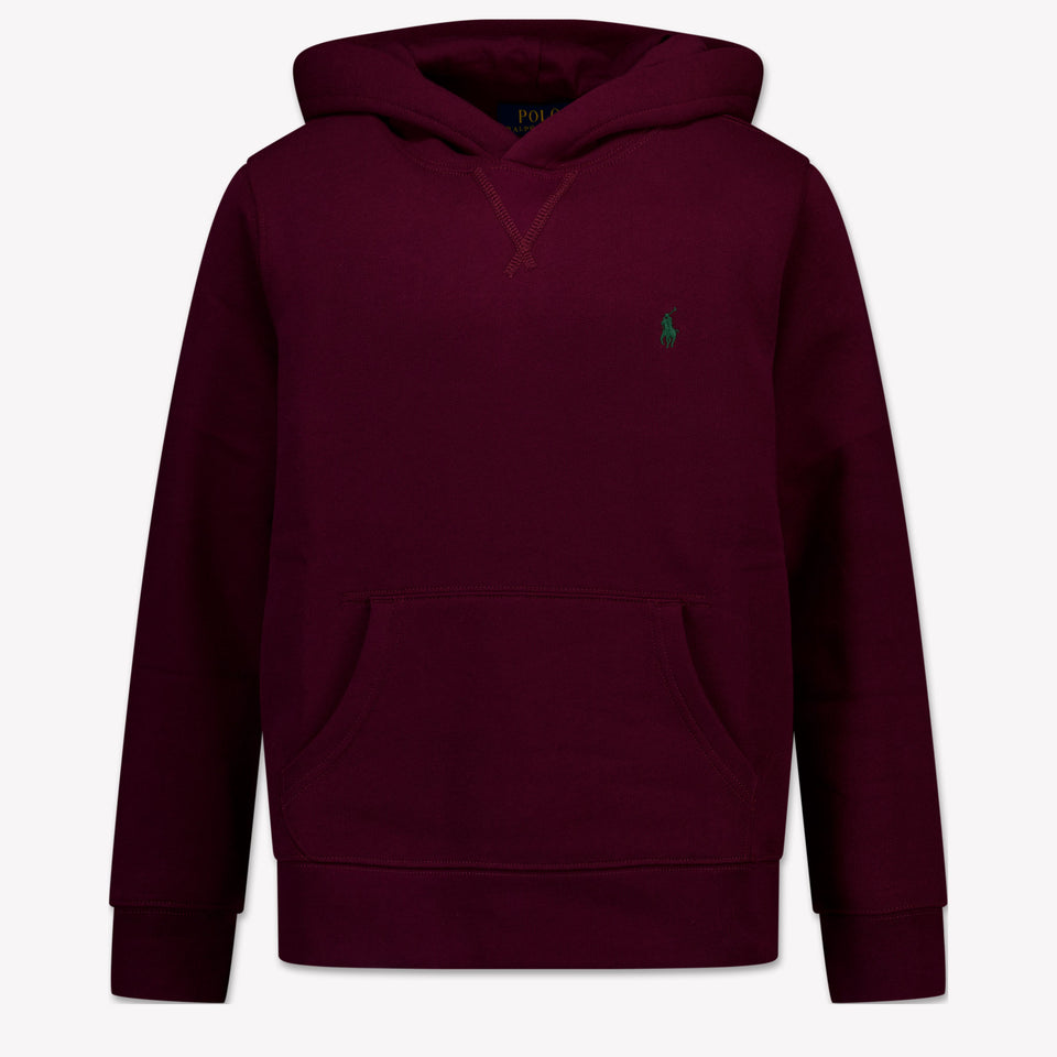 Ralph Lauren Kids Boys Sweater  Bordeaux