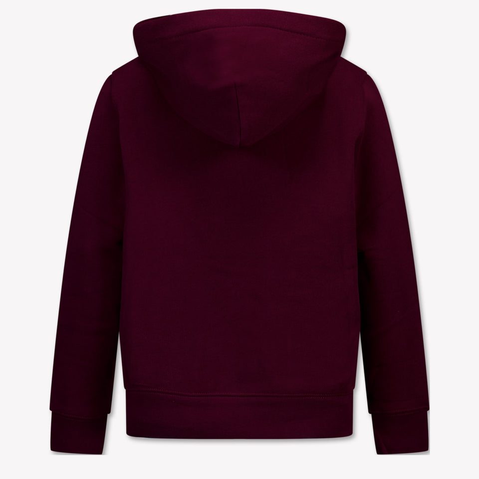 Ralph Lauren Kids Boys Sweater  Bordeaux