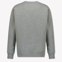 Ralph Lauren Kids Boys Sweater  Light Gray