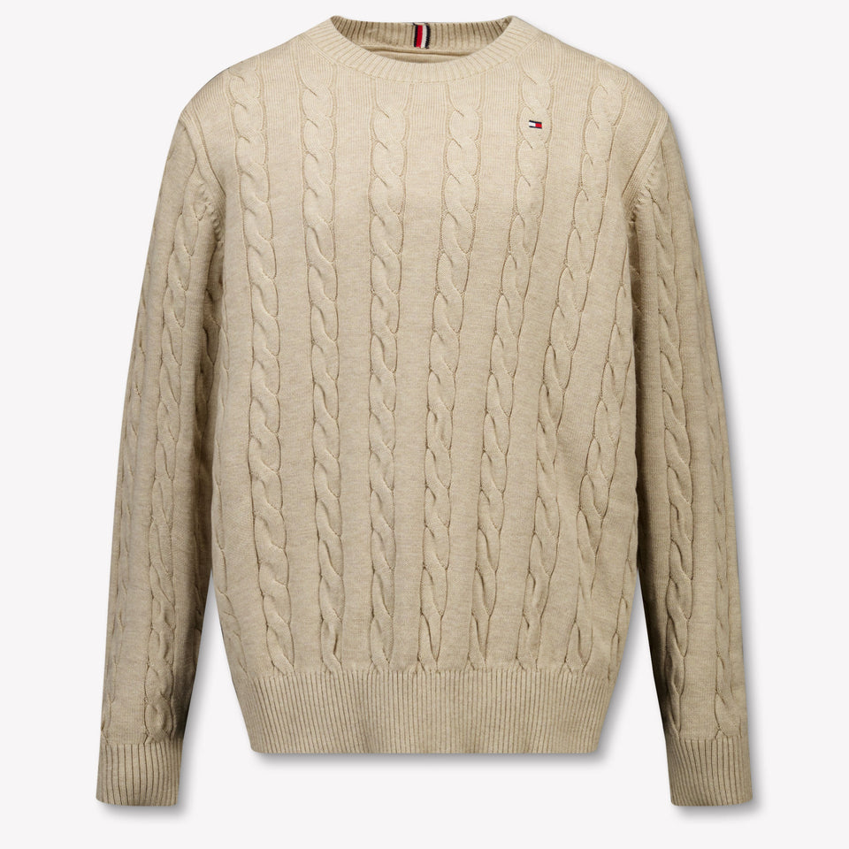 Tommy Hilfiger Kids Boys Sweater  Beige