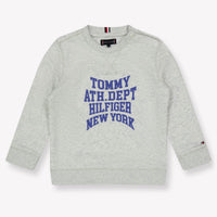 Tommy Hilfiger Baby Boys Sweater  Gray