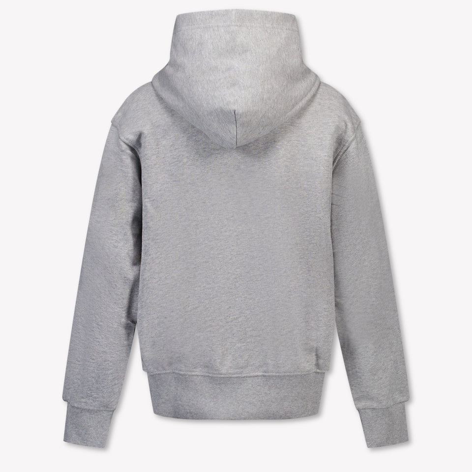 Diesel Kids Boys Sweater  Gray