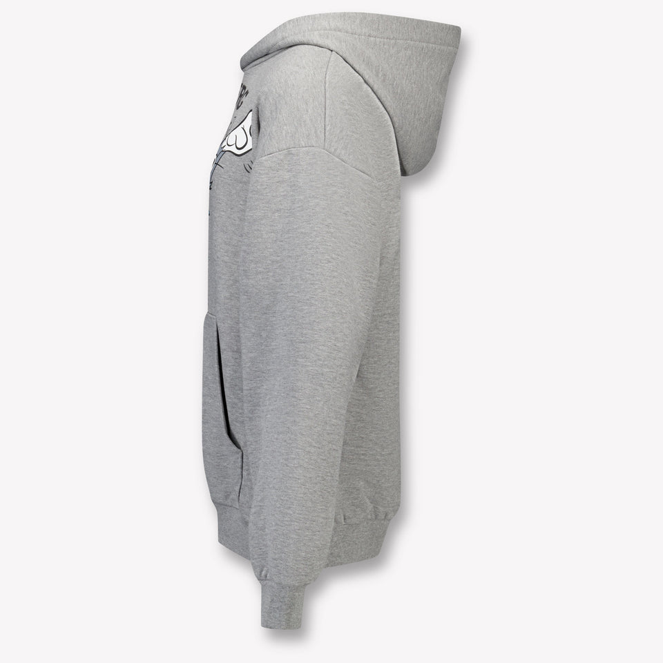 Iceberg Kids Boys Sweater  Gray