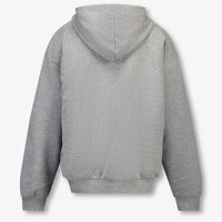 Iceberg Kids Boys Sweater  Gray