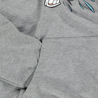 Iceberg Kids Boys Sweater  Gray