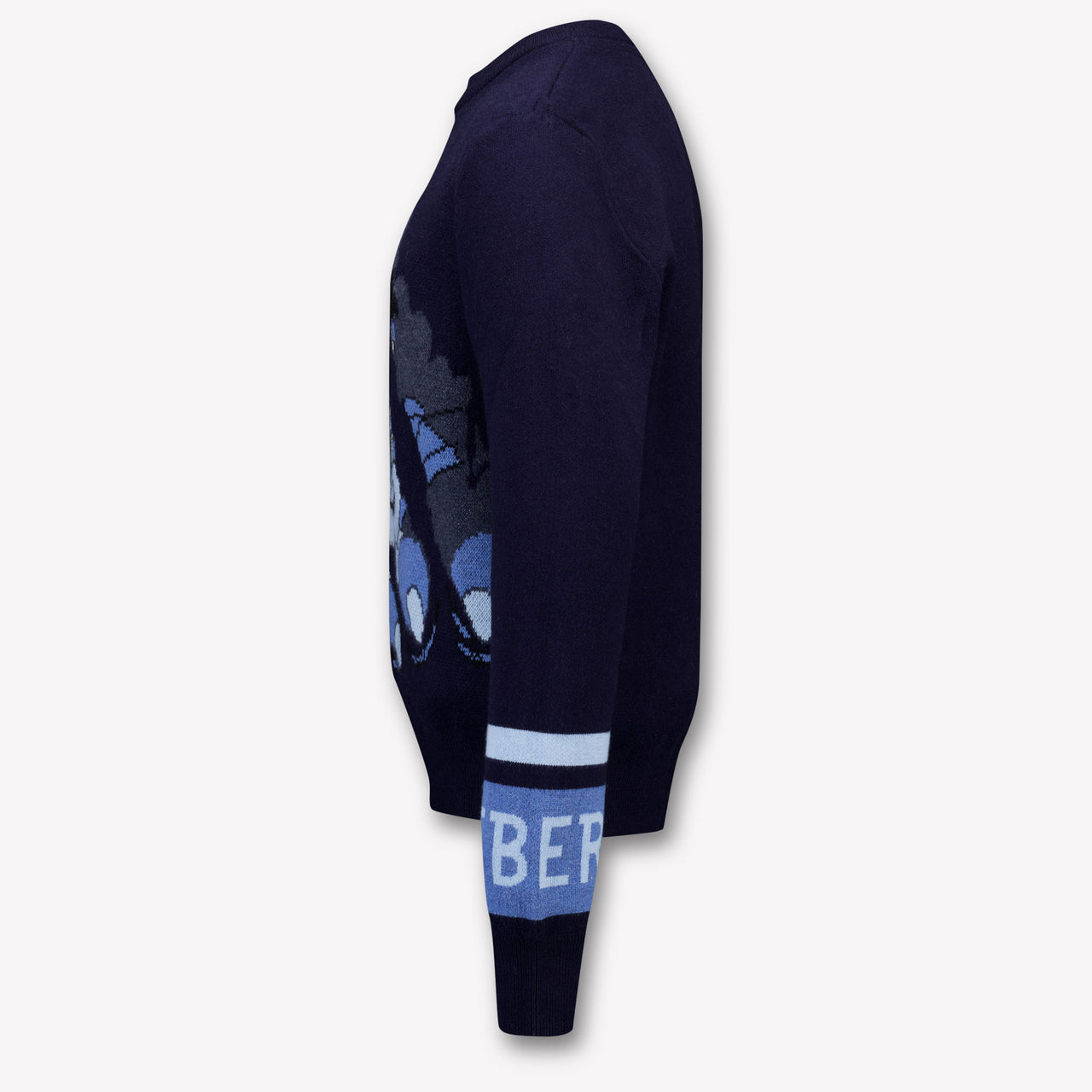 Iceberg Kids Boys Sweater  Navy