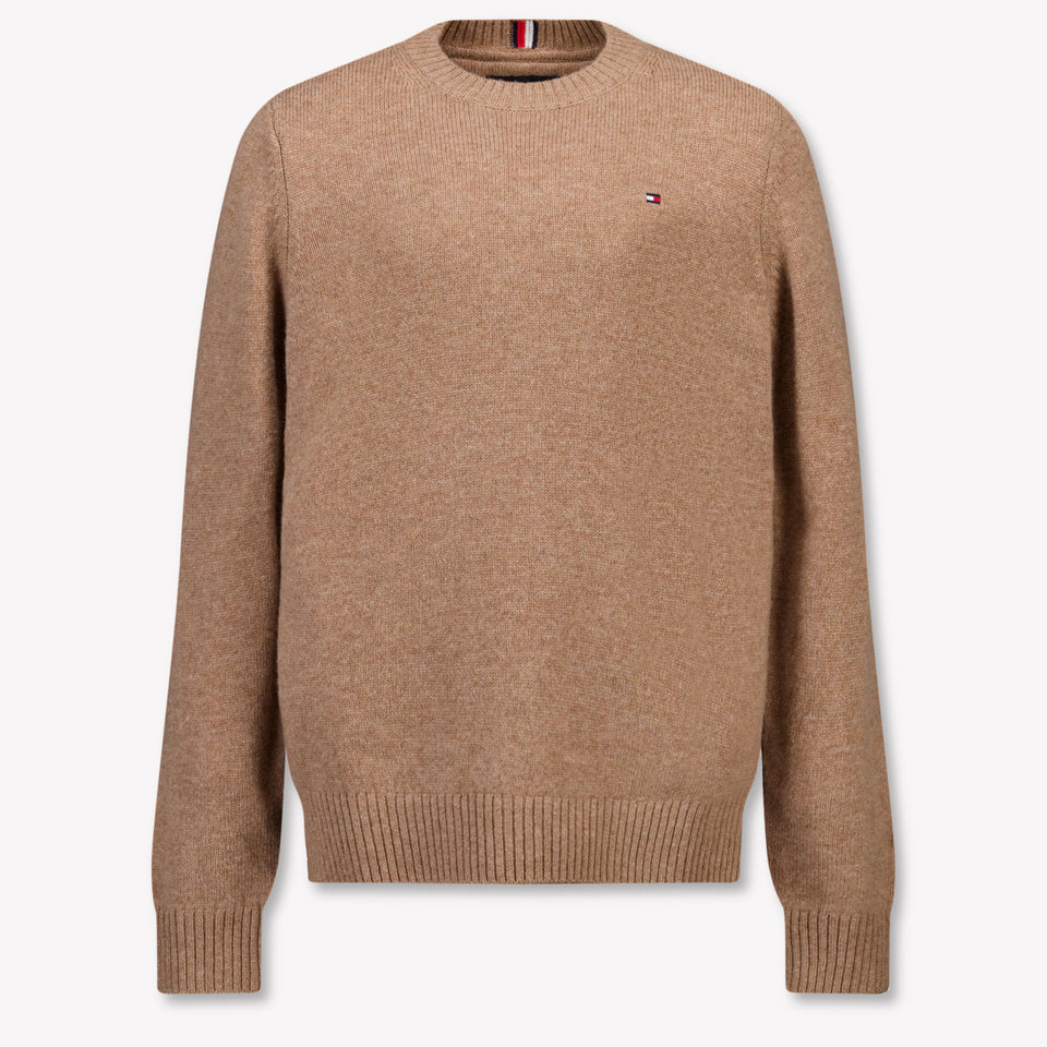 Tommy Hilfiger Kids Boys Sweater in Camel