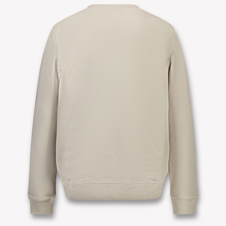 Calvin Klein Kids Unisex Sweater In Light Beige