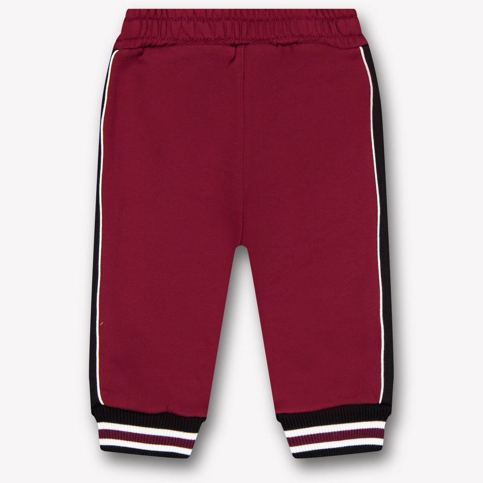 Dolce & Gabbana Baby Jongens Broek In Bordeaux