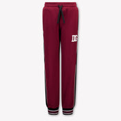 Dolce & Gabbana Kids Boys Pants In Bordeaux