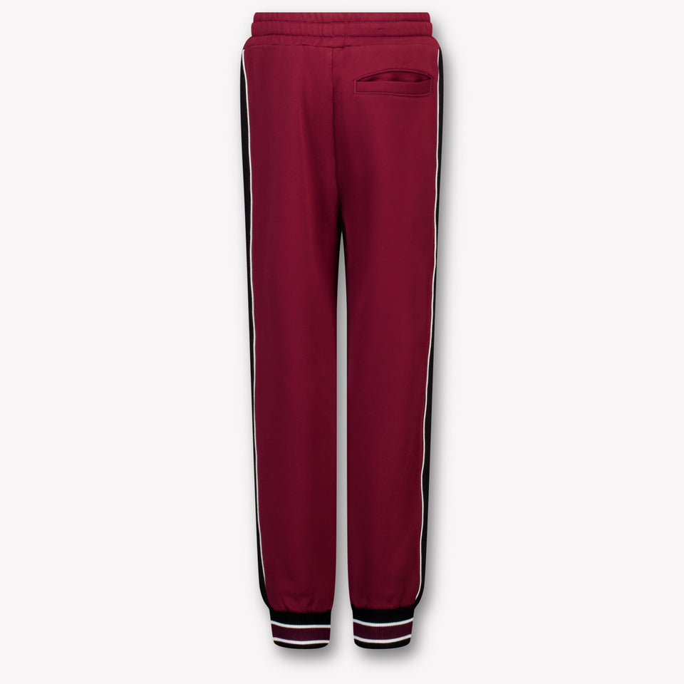Dolce & Gabbana Kids Boys Pants In Bordeaux
