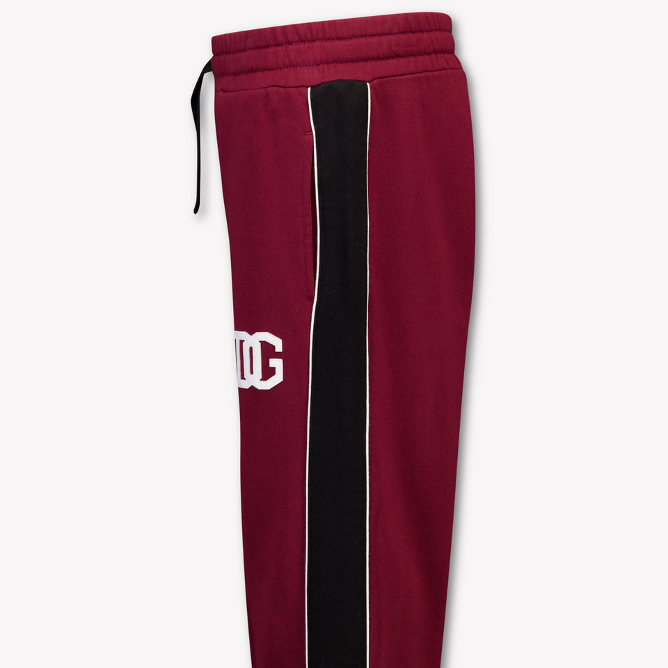 Dolce & Gabbana Kids Boys Pants In Bordeaux