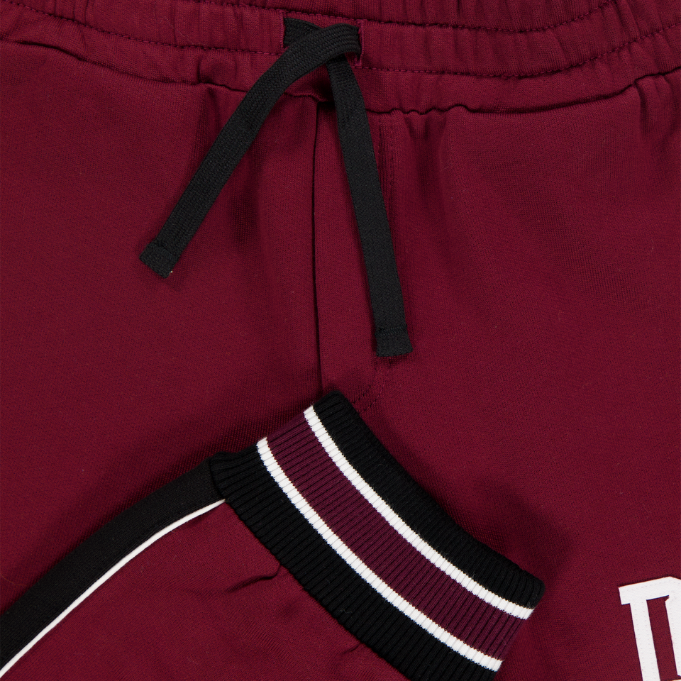 Dolce & Gabbana Kids Boys Pants In Bordeaux