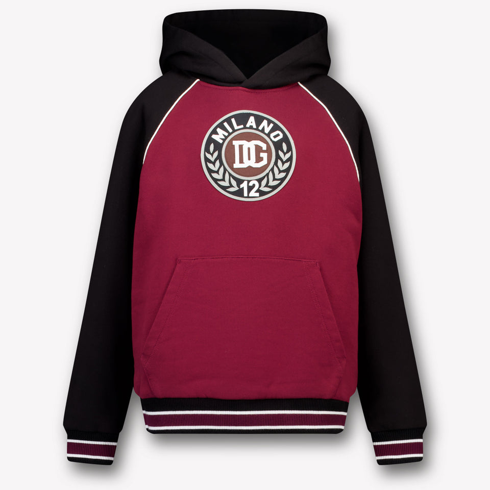 Dolce & Gabbana Kids Boys Sweater In Bordeaux