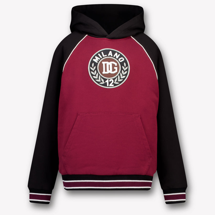 Dolce & Gabbana Kids Boys Sweater In Bordeaux