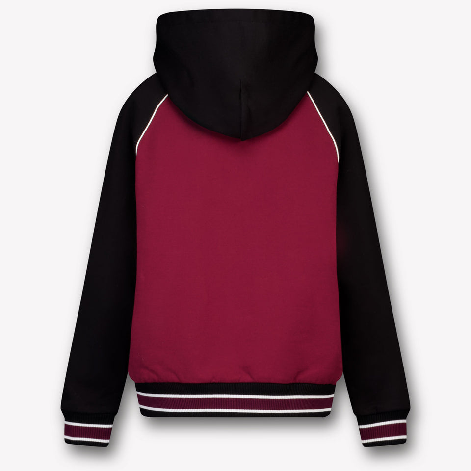 Dolce & Gabbana Kids Boys Sweater In Bordeaux
