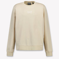 EA7 Kids Boys Sweater In Beige