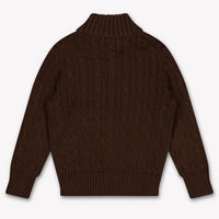 Ralph Lauren Kids Boys Sweater In Brown