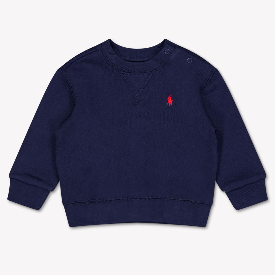 Ralph Lauren Baby Boys Sweater In Navy