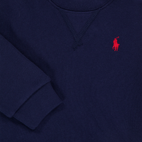Ralph Lauren Baby Boys Sweater In Navy
