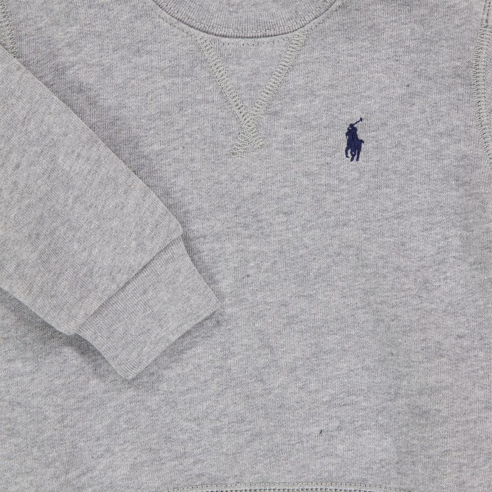 Ralph Lauren Baby Boys Sweater In Gray