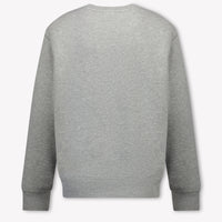 Ralph Lauren Kinder Jongens Trui In Grijs