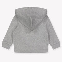 Ralph Lauren Baby Boys Cardigan In Gray