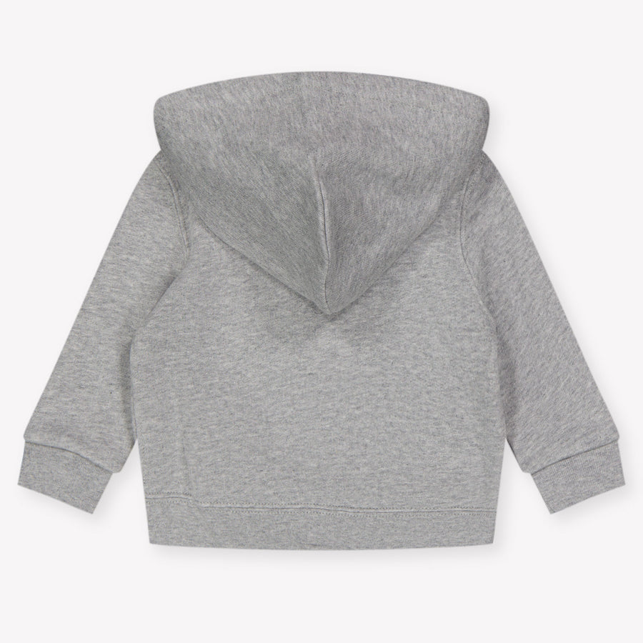 Ralph Lauren Baby Boys Cardigan In Gray