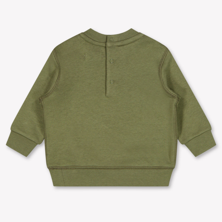 Ralph Lauren Baby Boys Sweater In Olive Green