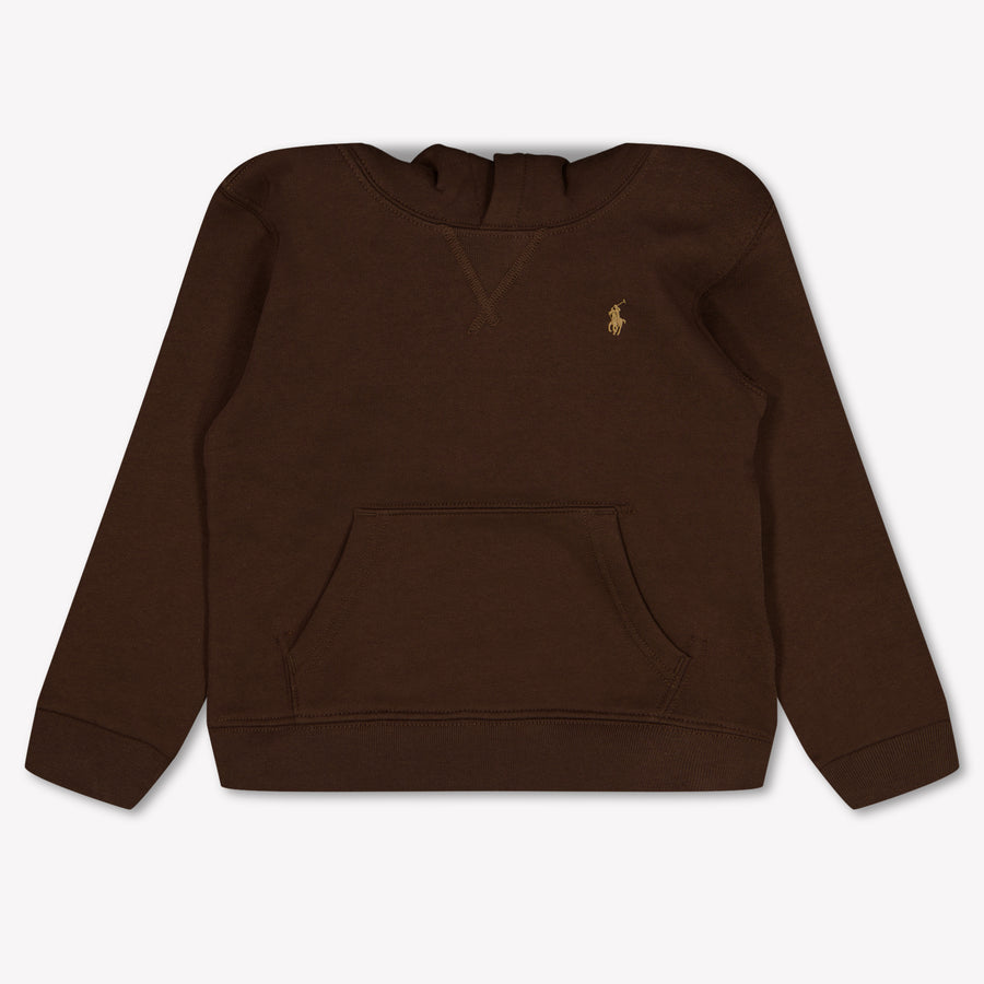 Ralph Lauren Kids Boys Sweater In Dark Brown