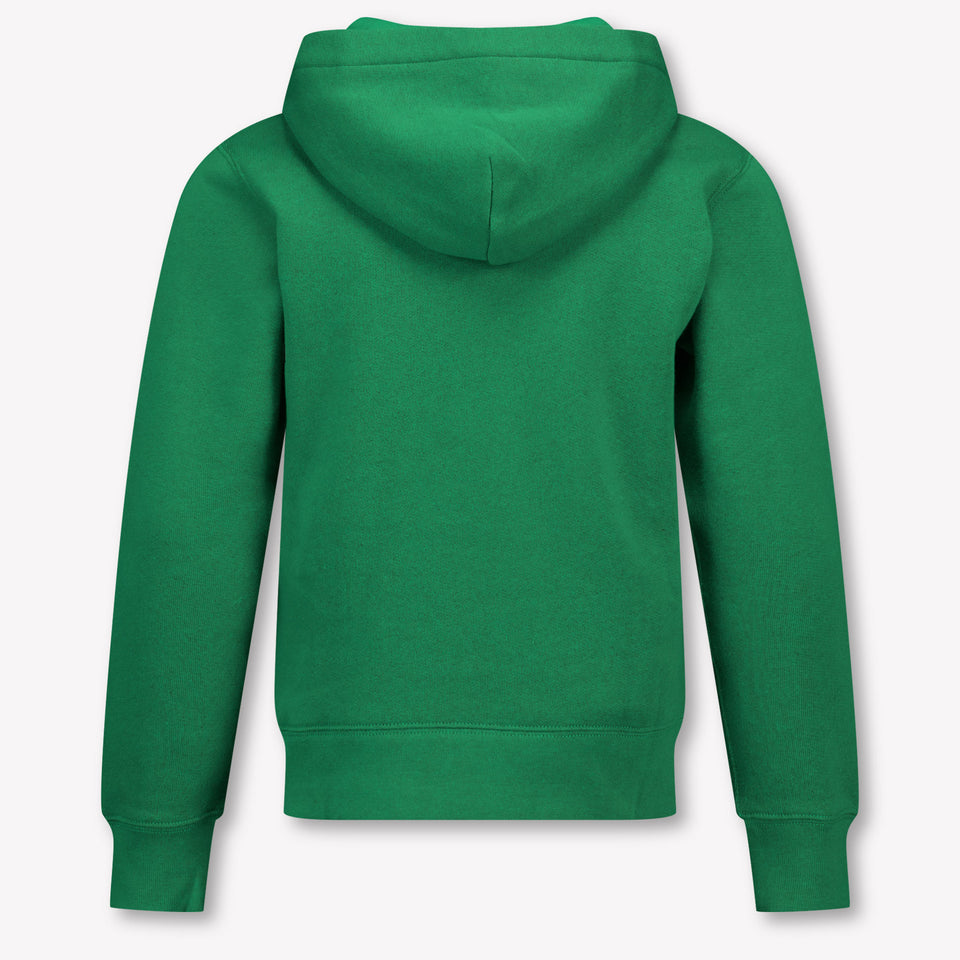 Ralph Lauren Kids Boys Sweater In Green