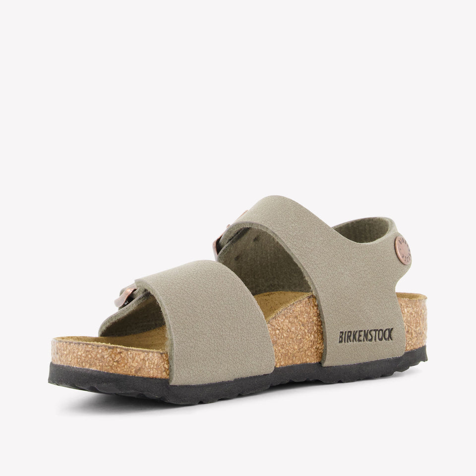 Birkenstock Unisex Flipflops In Taupe