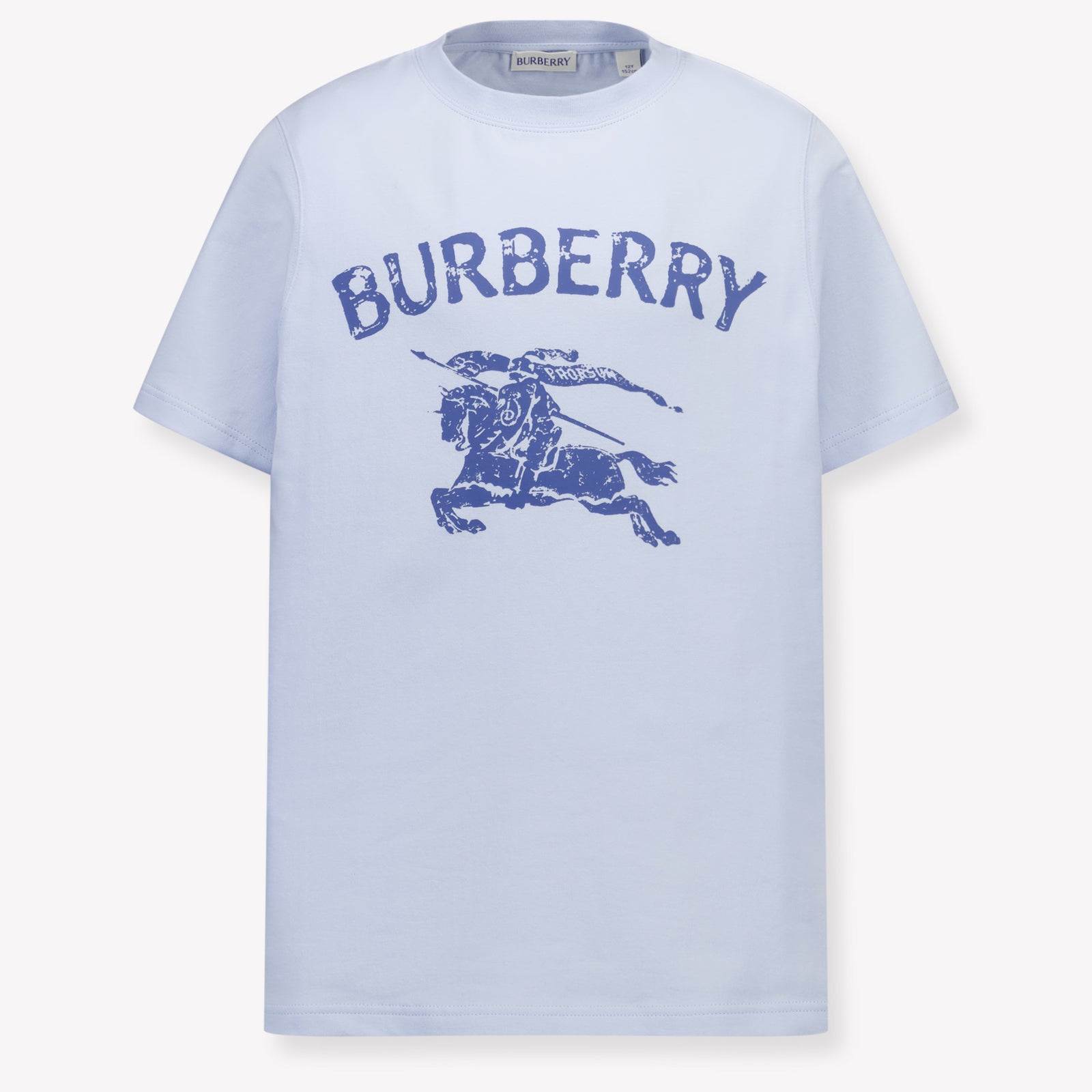 Burberry CedarStamp Kids Boys T-Shirt In Light Blue