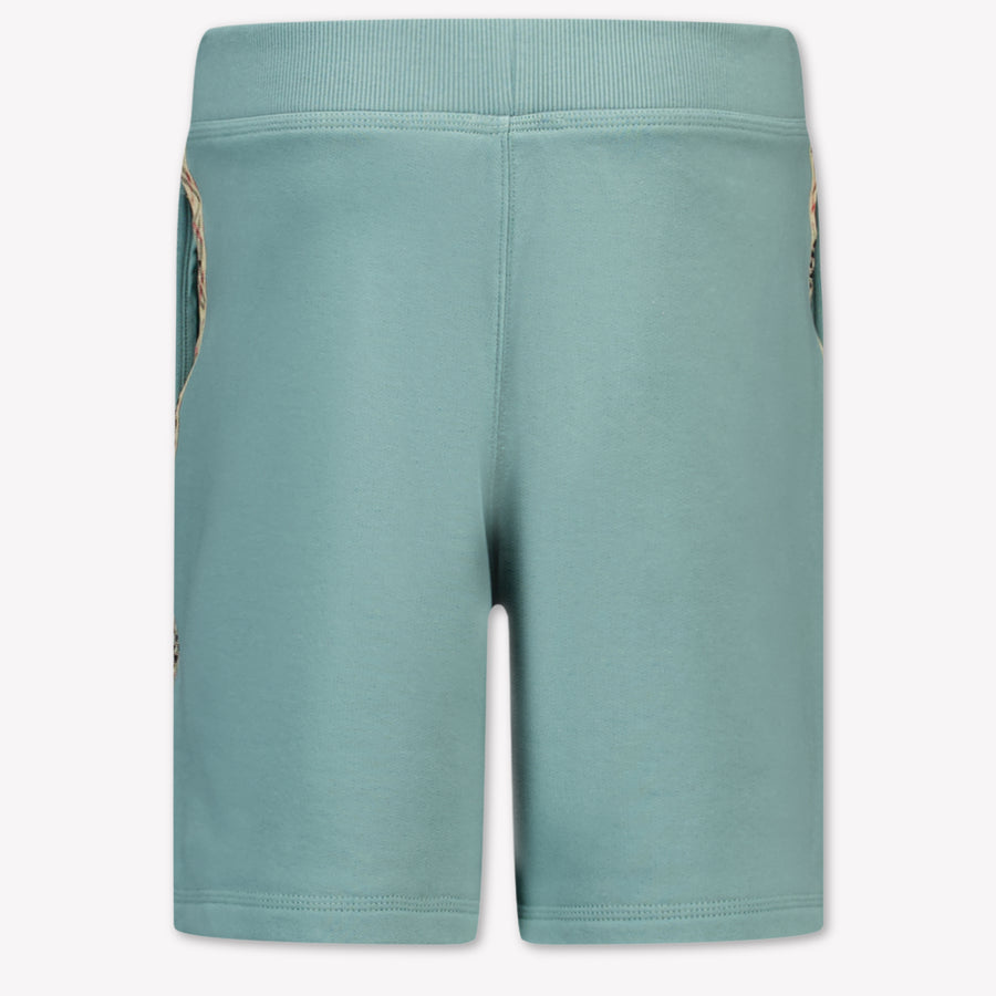 Burberry Banks Kids Boys Shorts In Green