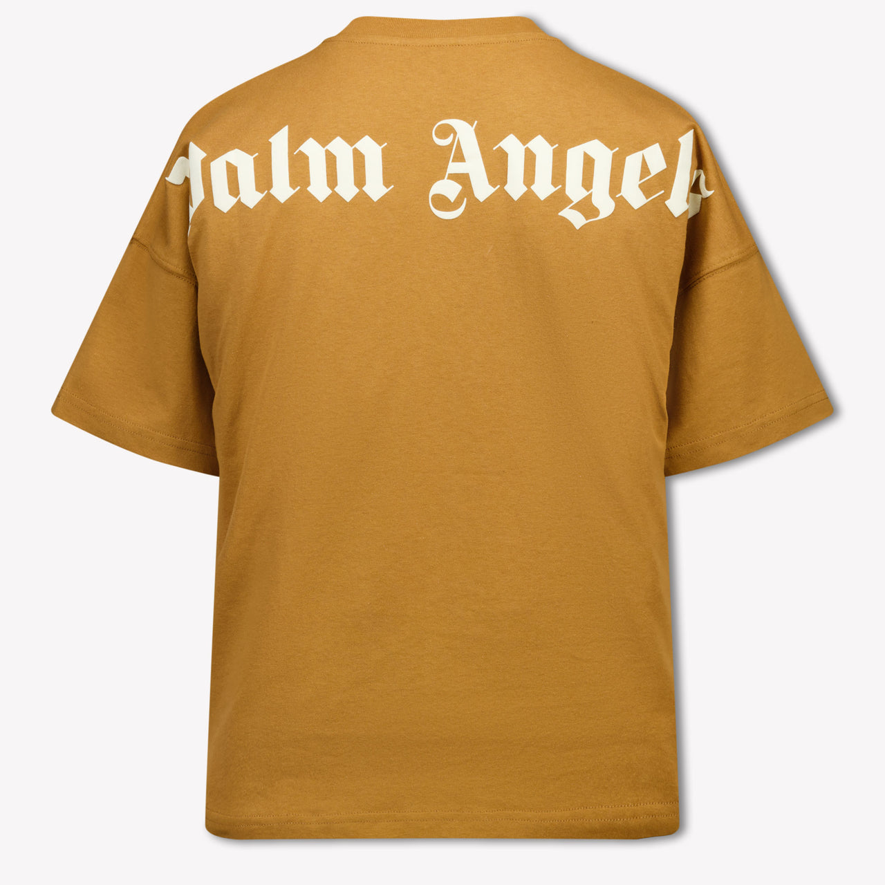 Palm Angels Kids Boys T-Shirt In Beige