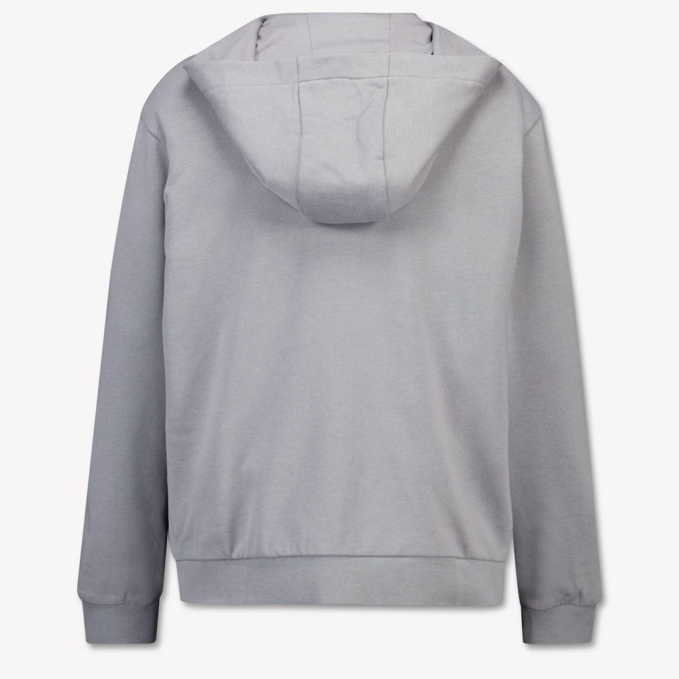 EA7 Kinder Jongens Vest In Grijs