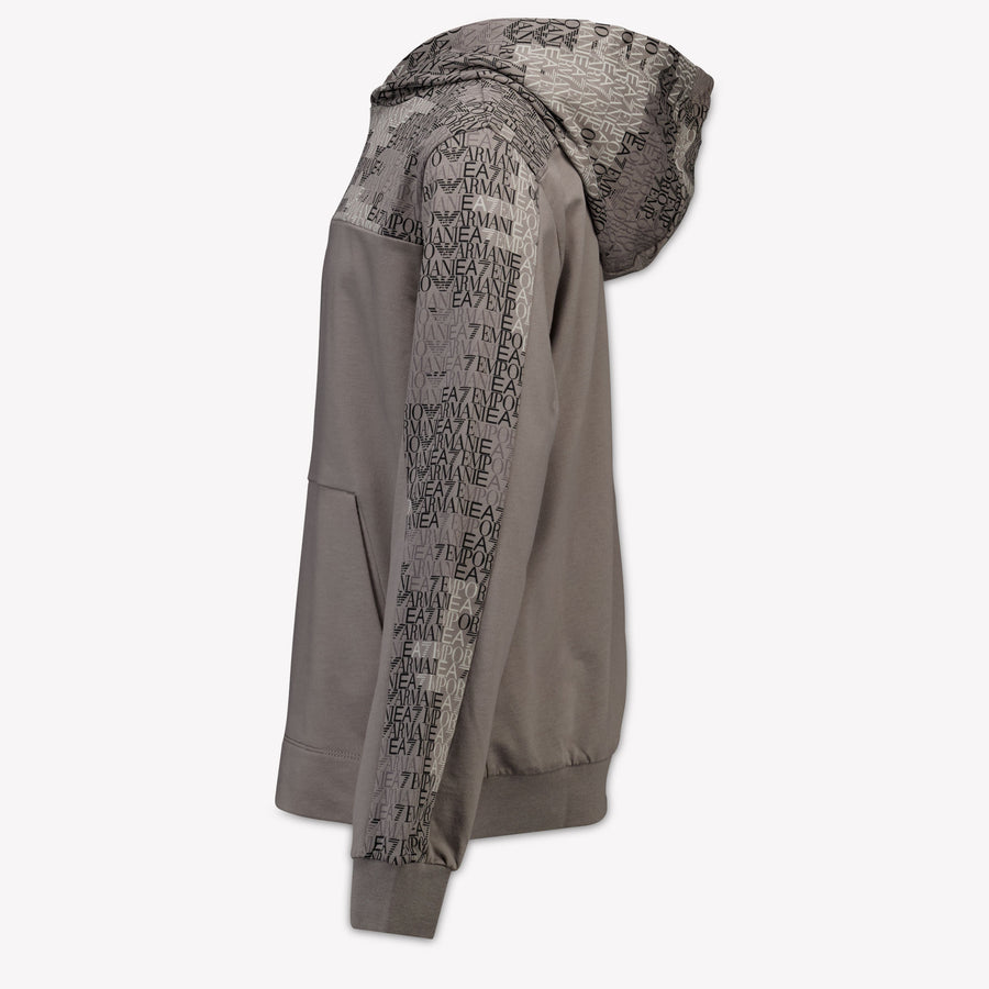 EA7 Kids Boys Sweater In Light Gray