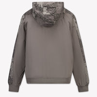 EA7 Kids Boys Sweater In Light Gray