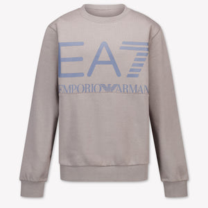 EA7 Boys Sweater in Light Grey