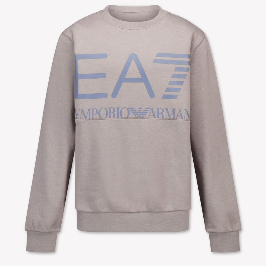 EA7 Boys Sweater in Light Grey